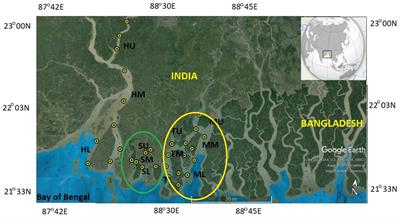 Assessing the Dynamics of Dissolved Organic Matter (DOM) in the Coastal Environments Dominated by Mangroves, Indian Sundarbans